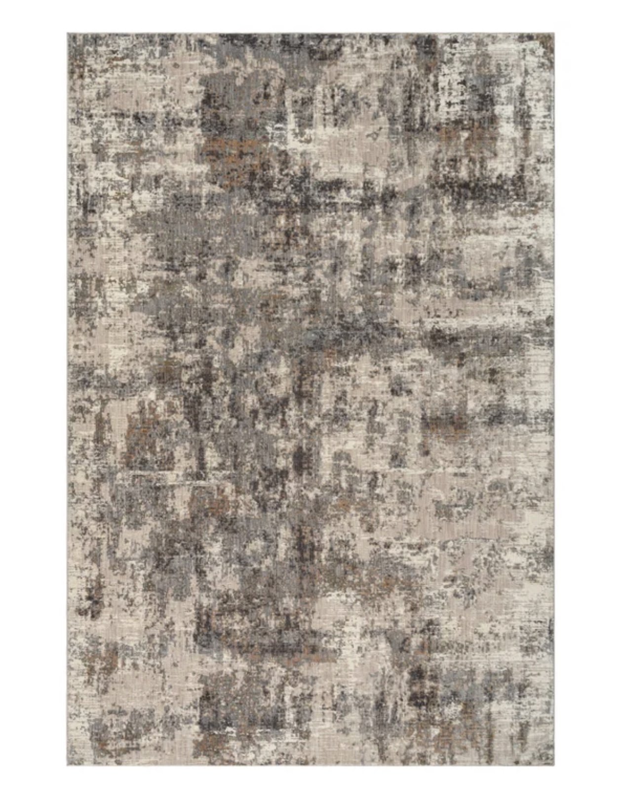 Image 1-21-26 at 3.56 PM.jpg