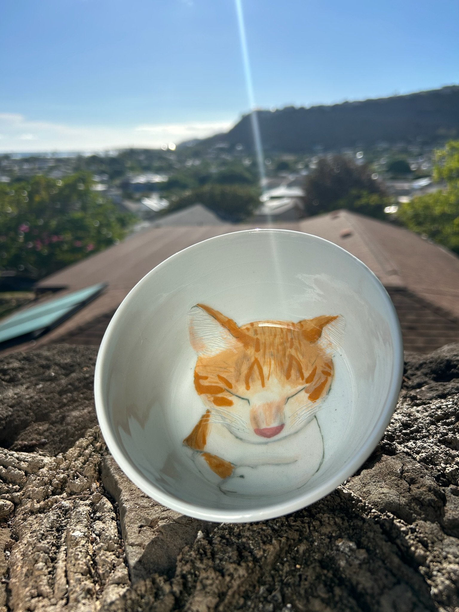 A small ceramic bowl with a painted image of an orange tabby cat sleeping, placed on a rough stone surface with a blurred background of rooftops, trees, distant hills, and a clear blue sky with sunlight.