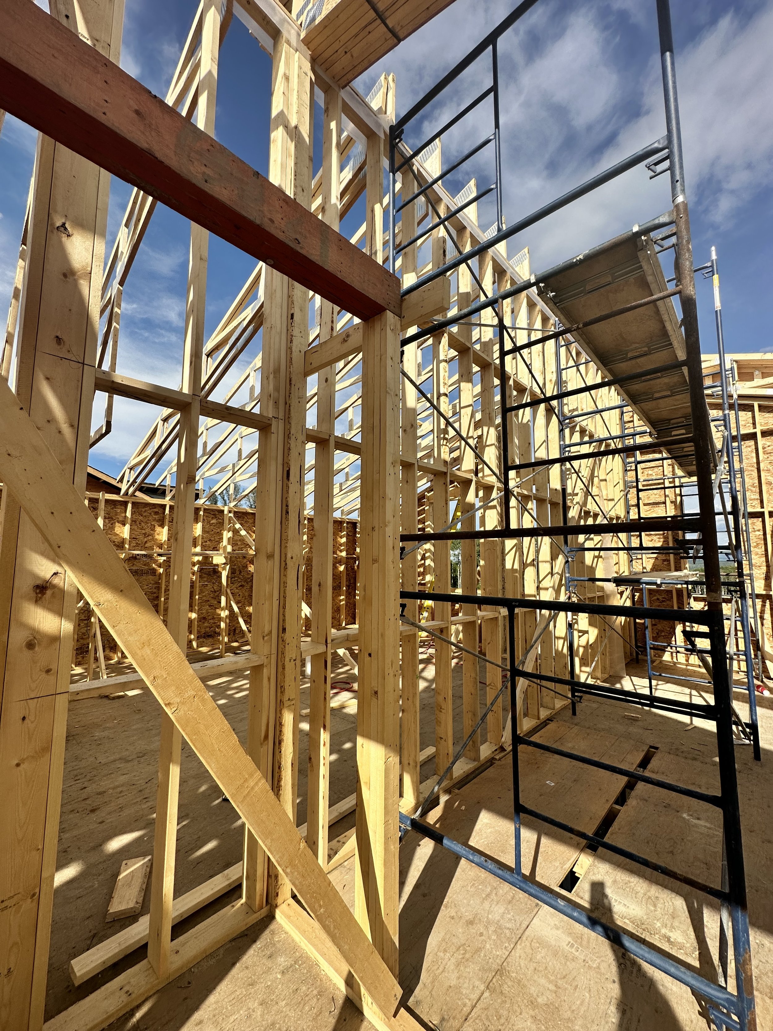 Project Management and Development 