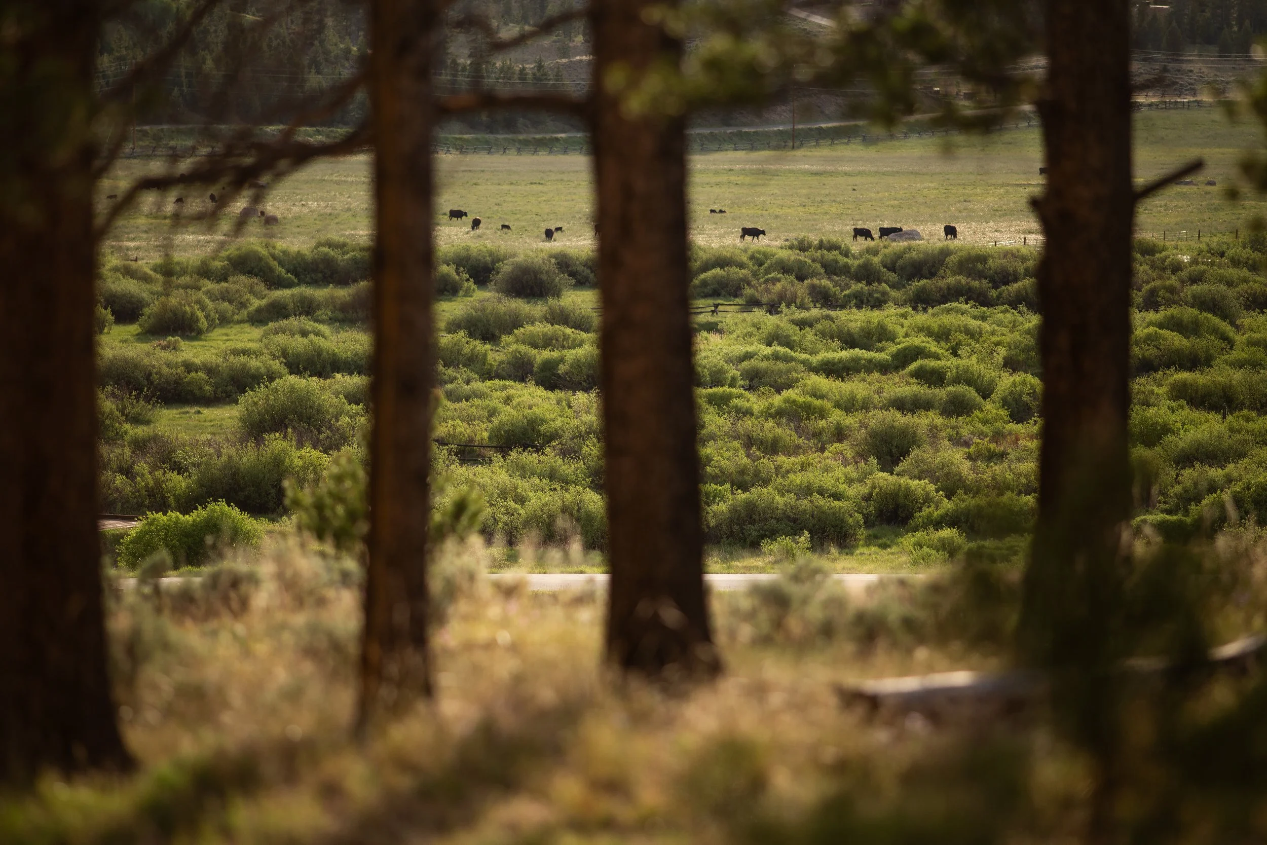 2026 Close Reads Retreat Colorado-028.jpg
