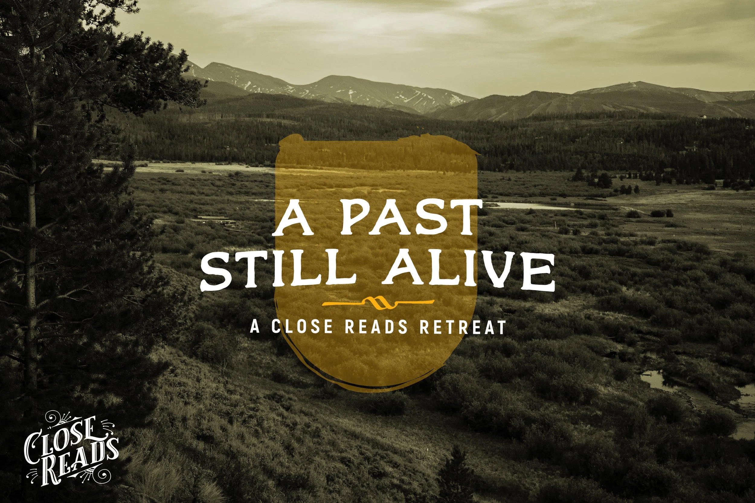 past still alive 2 copy 2a.jpg