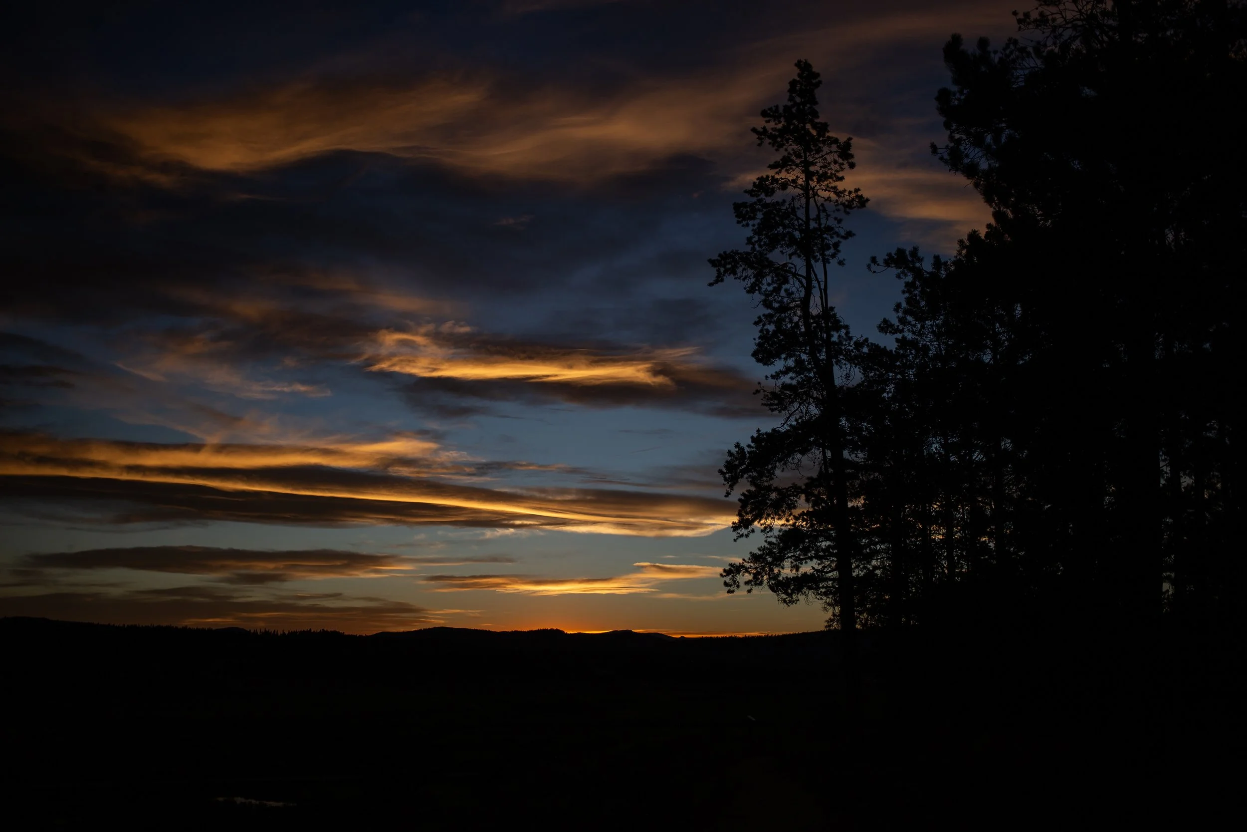 2026 Close Reads Retreat Colorado-149.jpg