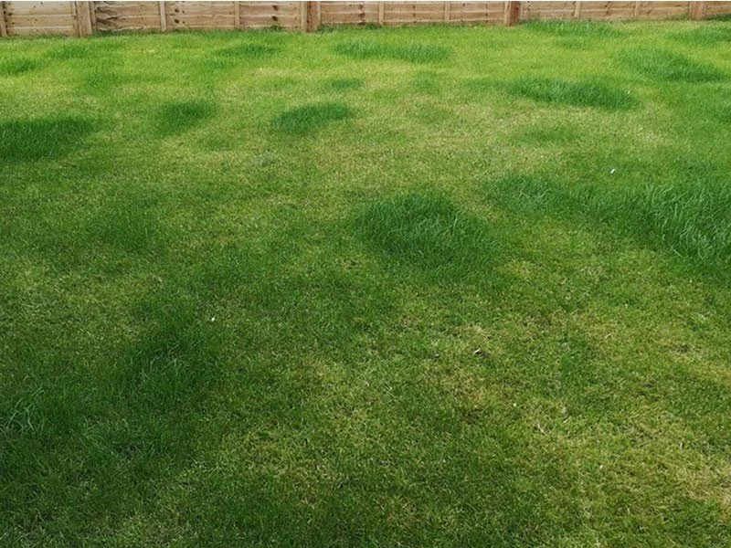 FOUR FERTILISER FAILS