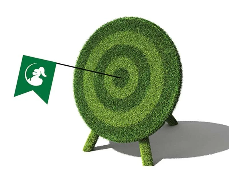 TROUBLE SHOOTING LAWN PROBLEMS