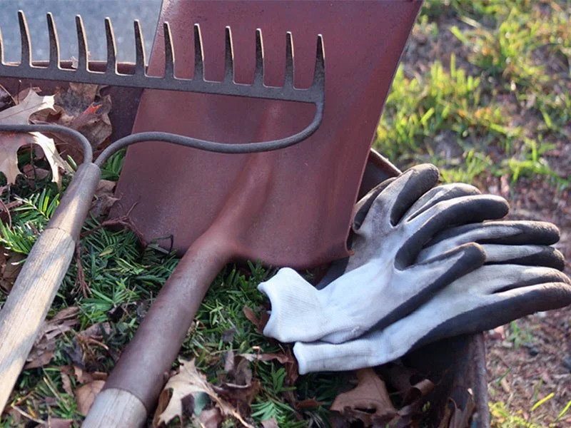 CARING FOR YOUR LAWN THIS WINTER