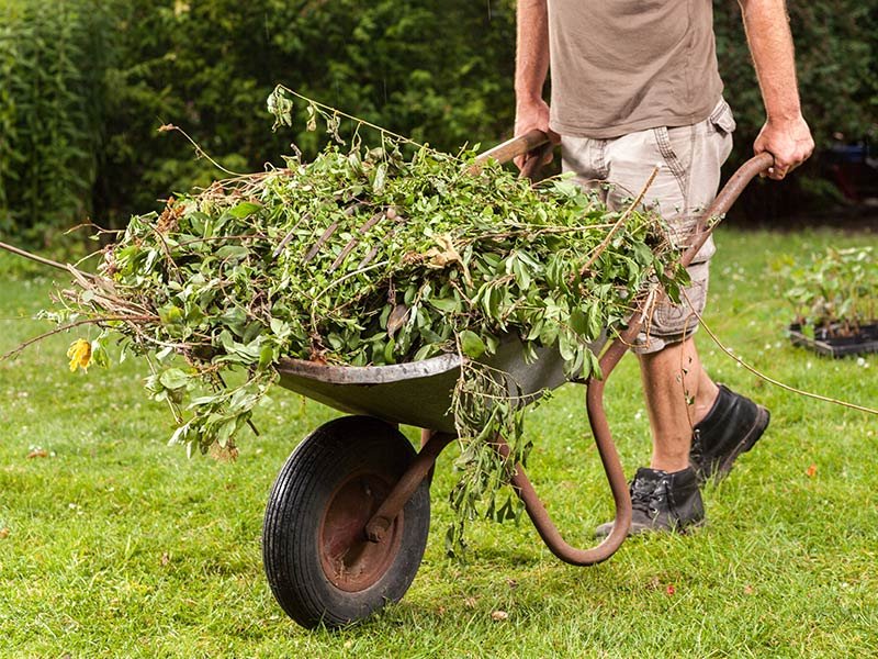 PREPARE YOUR GARDEN FOR AUTUMN