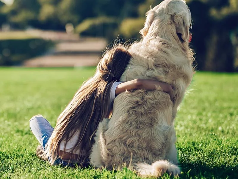 BEST LAWN FOR PETS & KIDS