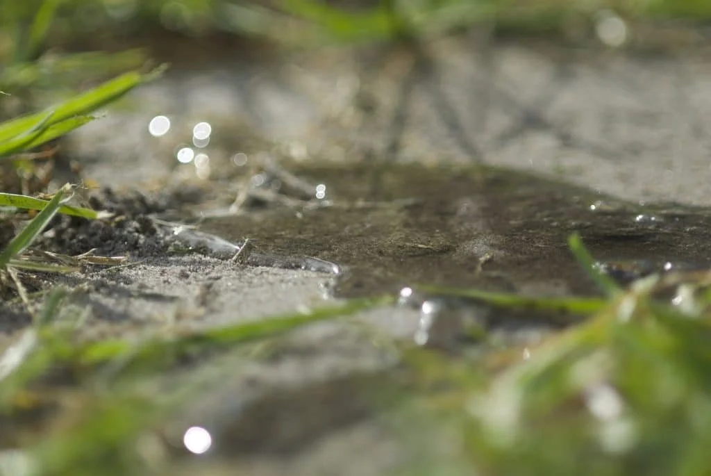 Back to Basics | Wetting Agents and Soil Amendments