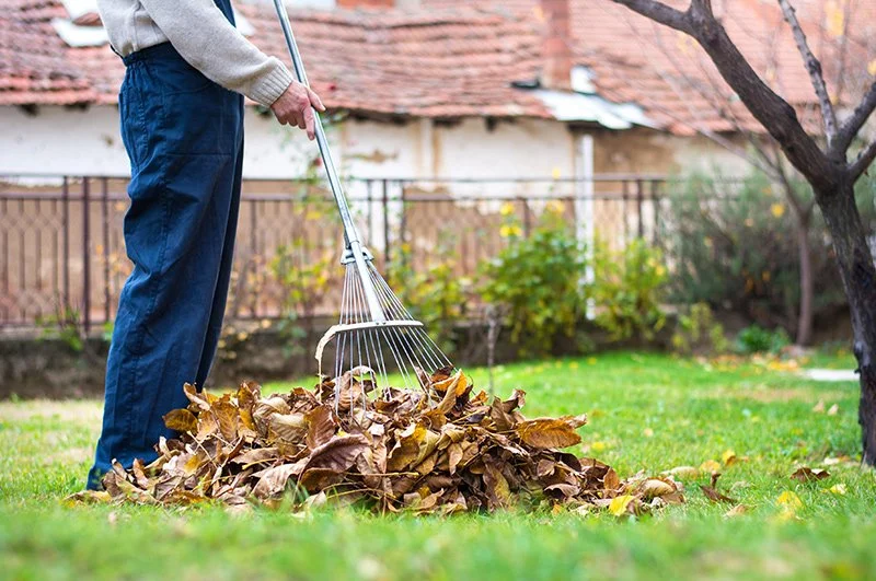 Autumn Lawn Care