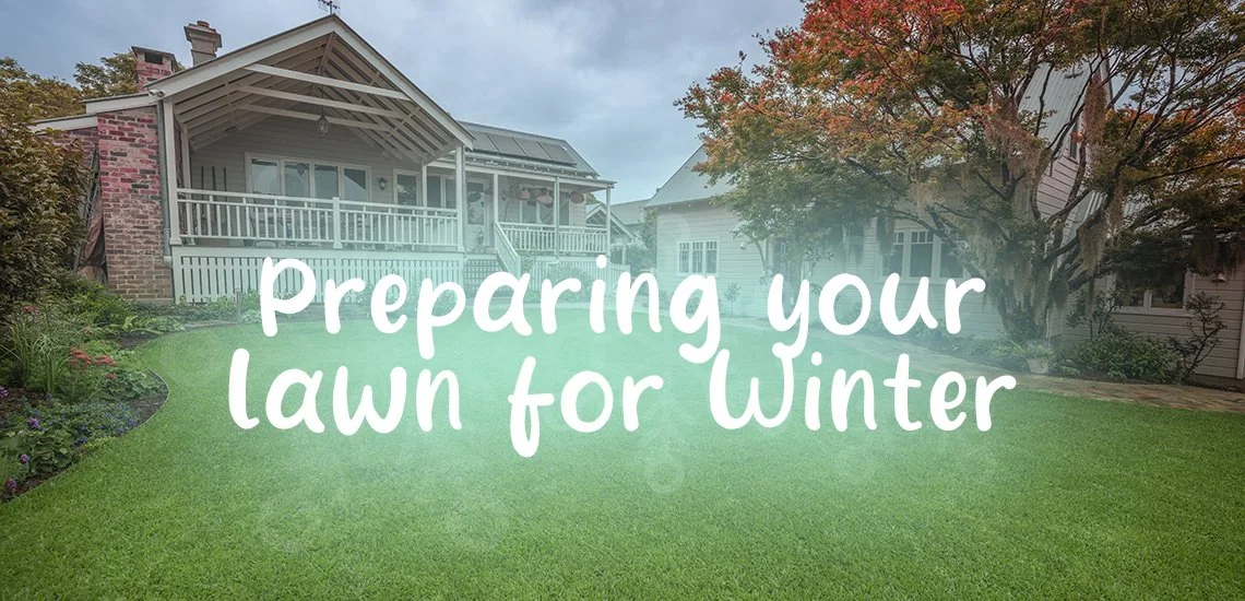 How to Prepare Your Lawn for Winter