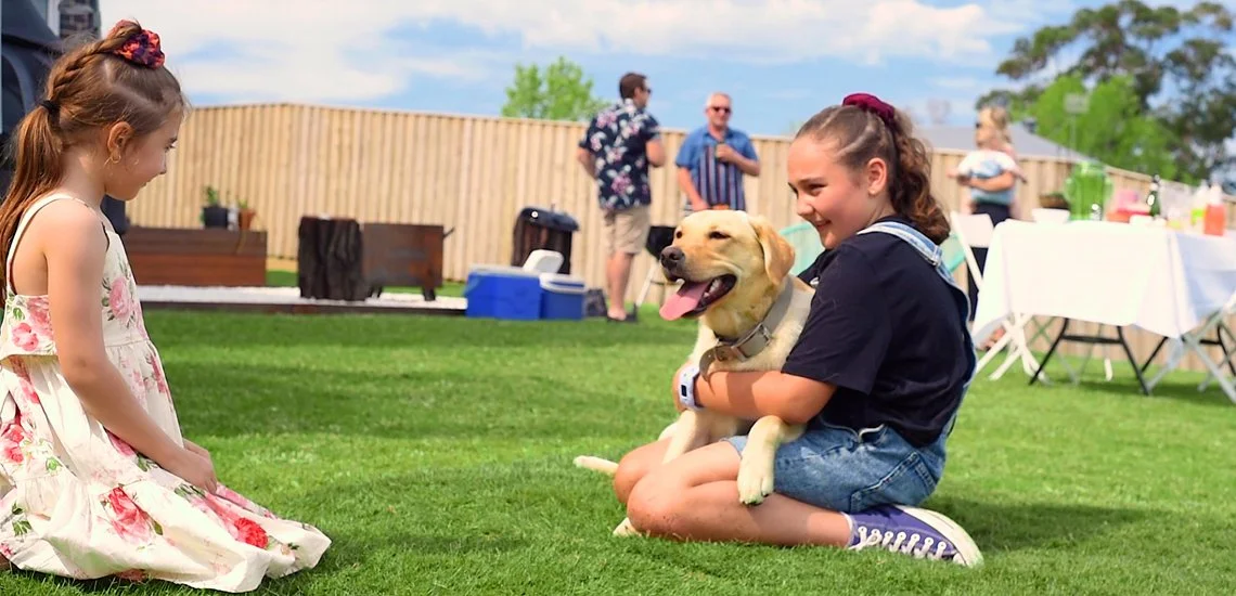 What is the Best Lawn for Pets and Kids?