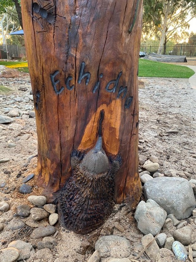The Huntly Kinder Project we funded $3000-“Carving Our Identity” Having a dead tree in the kinder yard carved to depict the 4 kinder groups used in the yard and for Bush Kinder. The Huntly Kinder does lots of sustainability activities and learn about