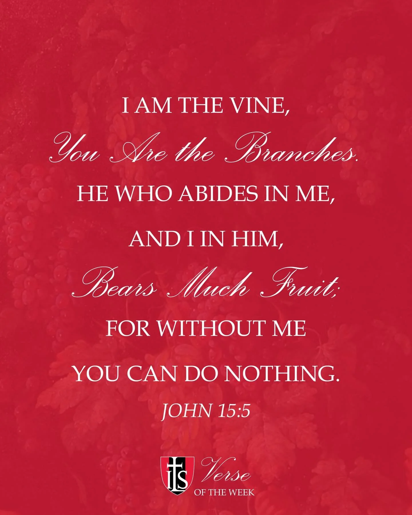 Our Lord invites us to abide in Him and to rest on His promises in all things. We pray that this week, you find peace in Christ, our True Vine. #verseoftheweek #ilsalexandria #classicalchristianeducation