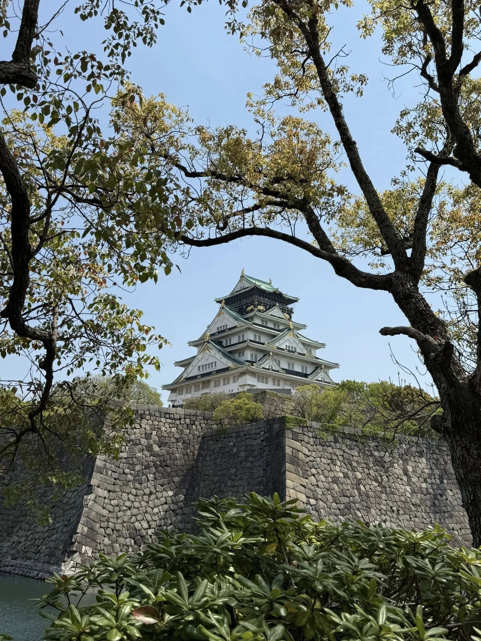 Day 8- Osaka, Japan explorations