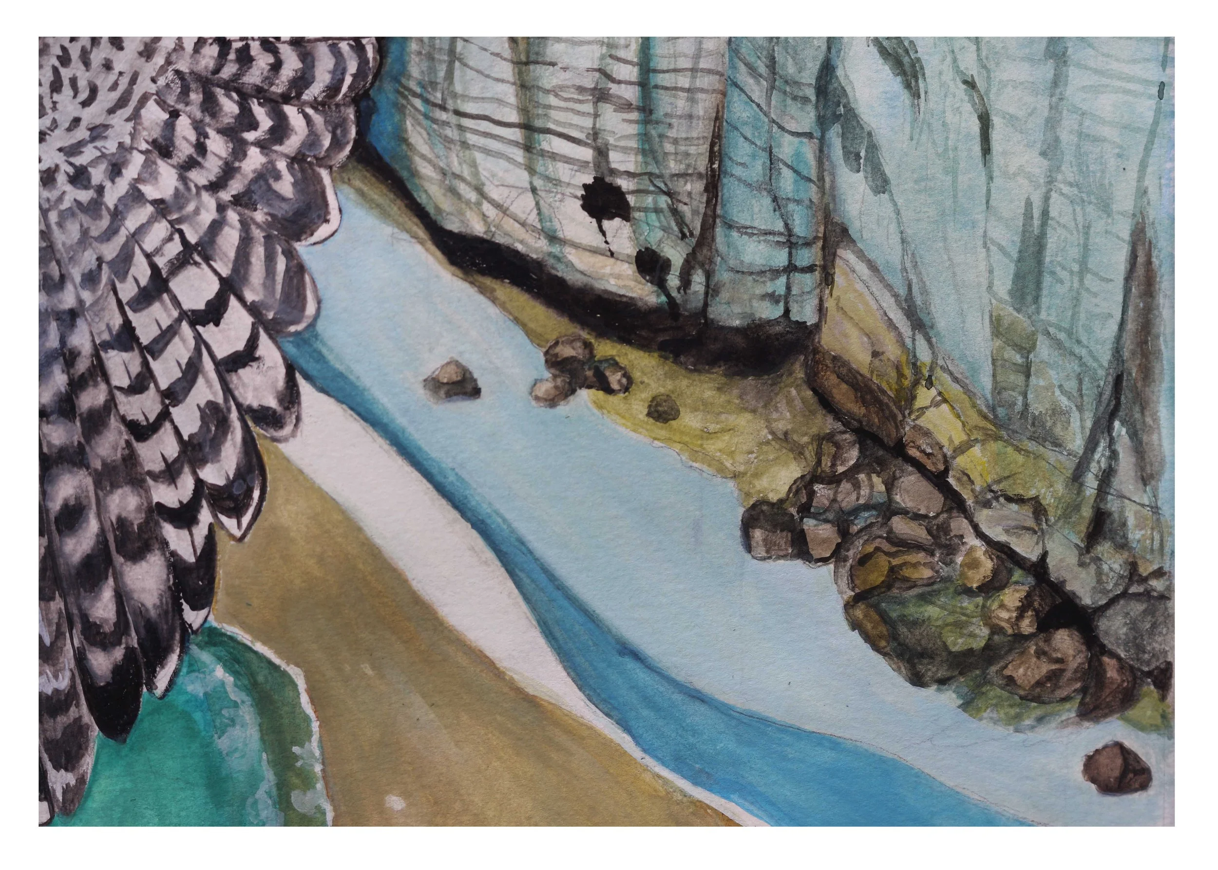 the white hawk & cliffs 2.jpg