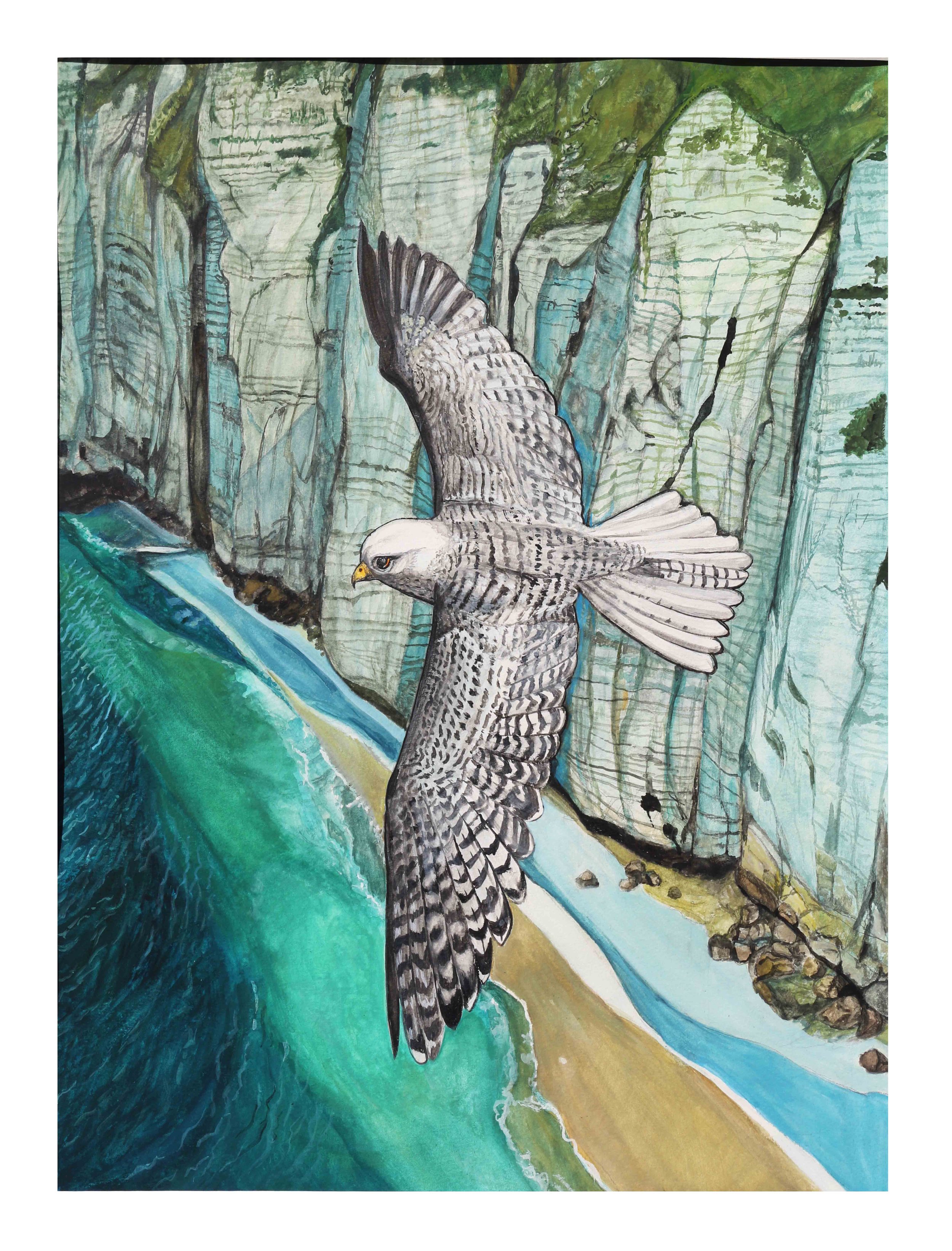 the white hawk and cliffs.jpg