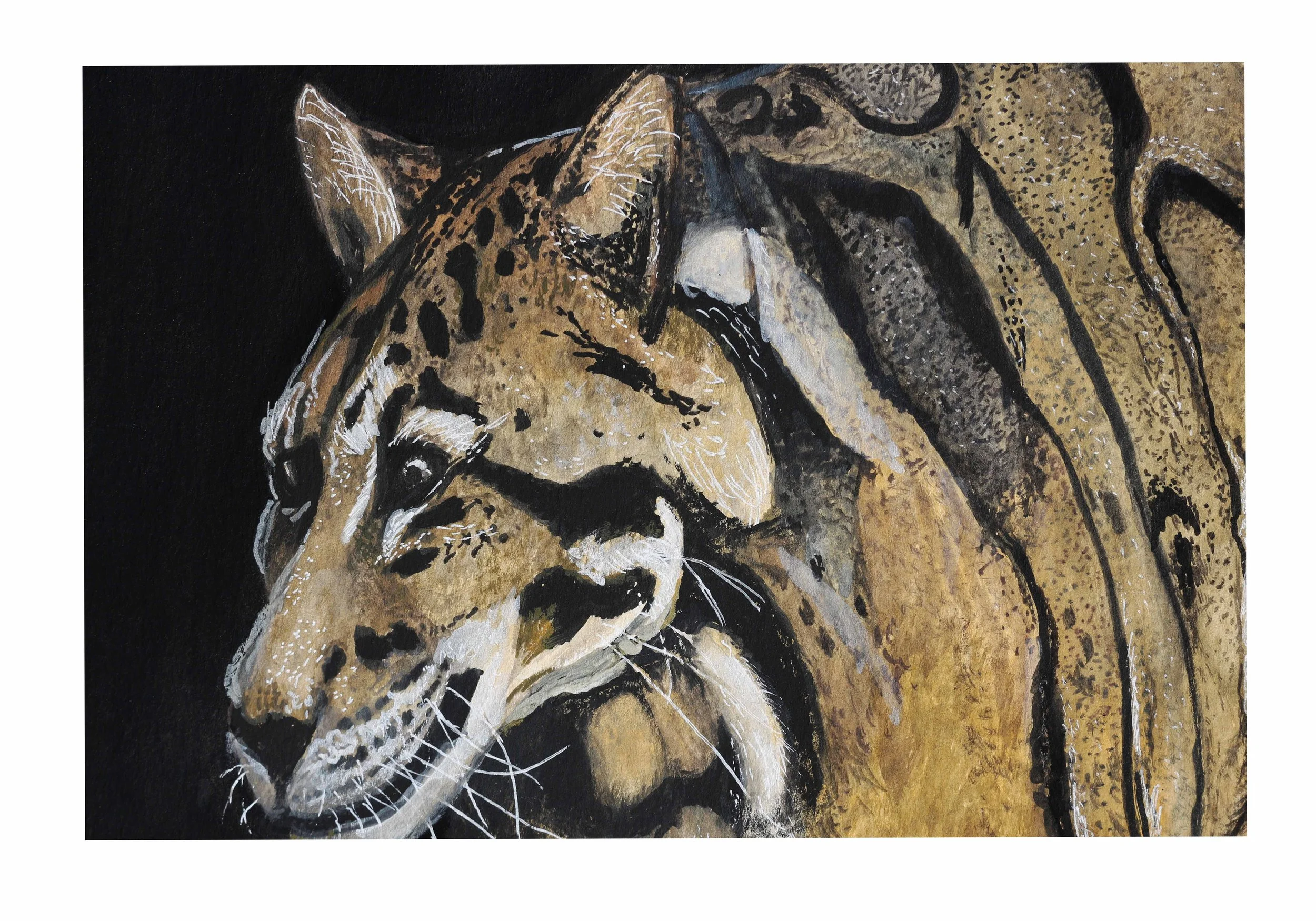 45 clouded leopard II-1 copy.jpg