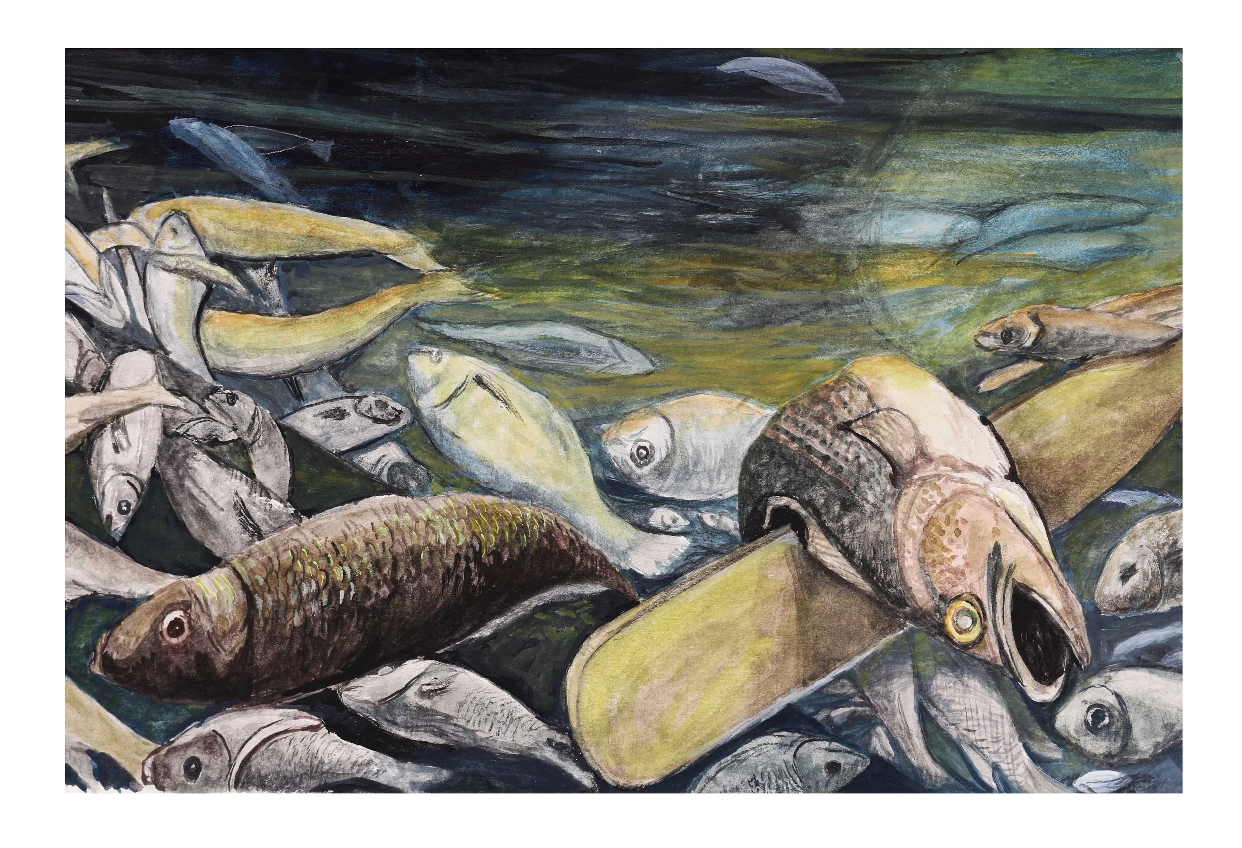 48 the massive dead fish1 copy.jpg