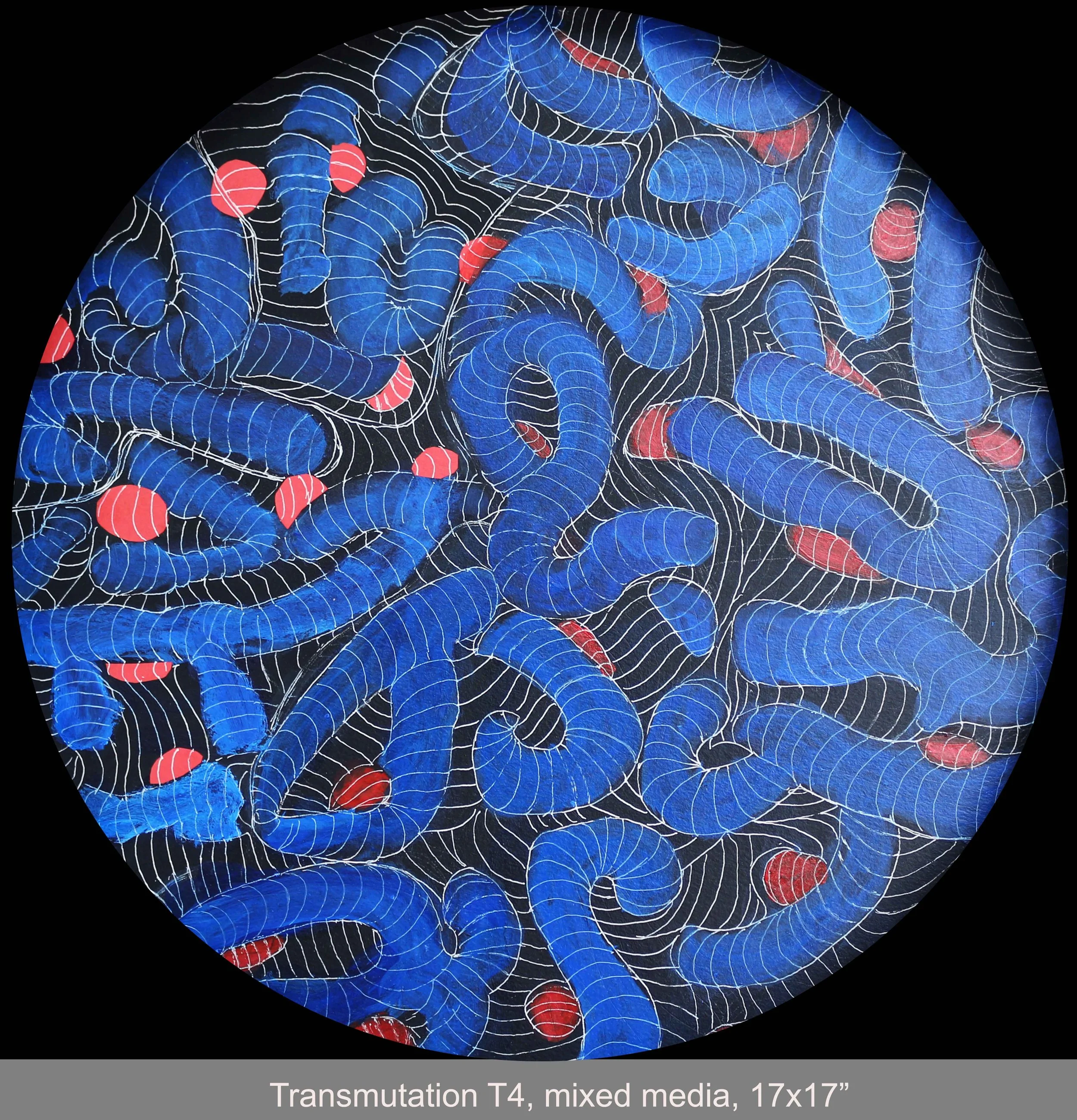 transmutation T4 copy.jpg