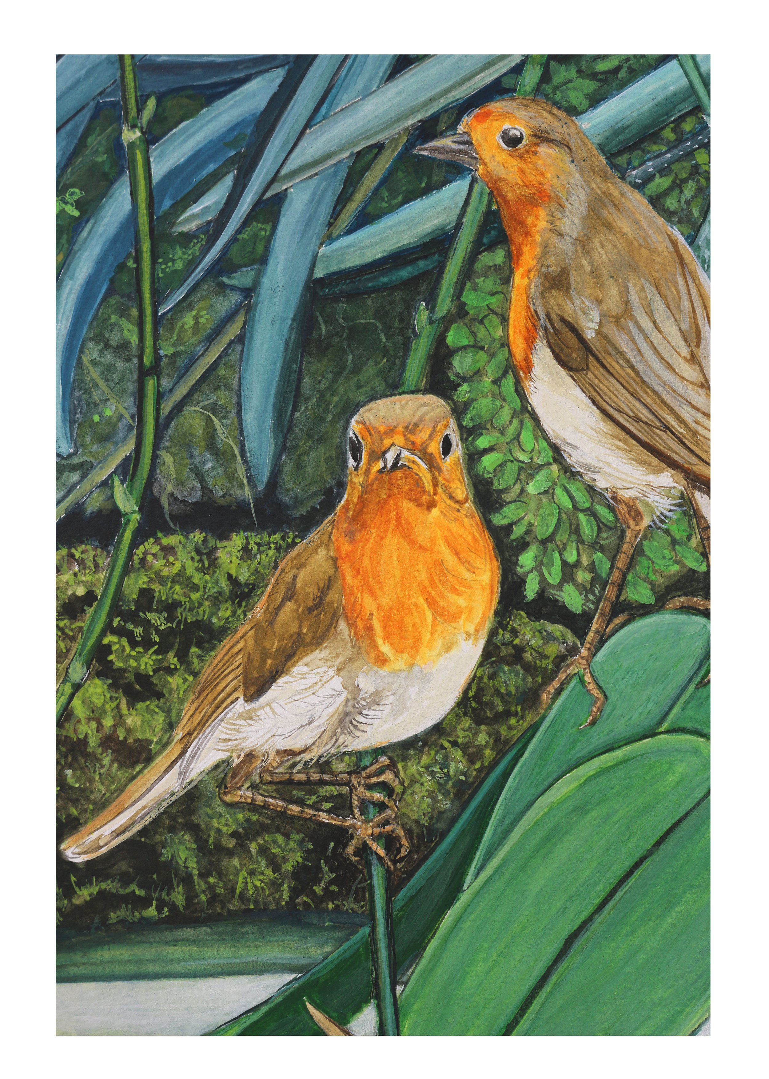 the finches and orchid part 4.jpg