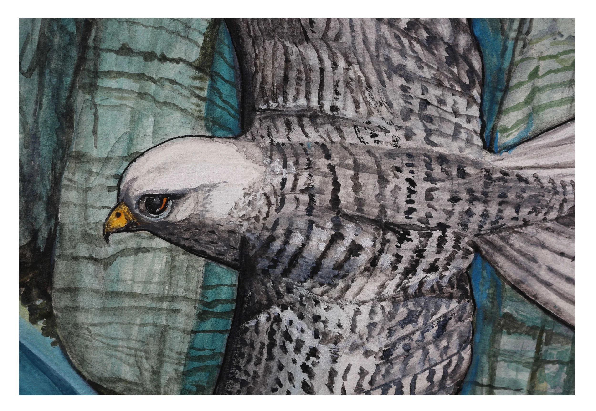 the white hawk & cliffs 3.jpg