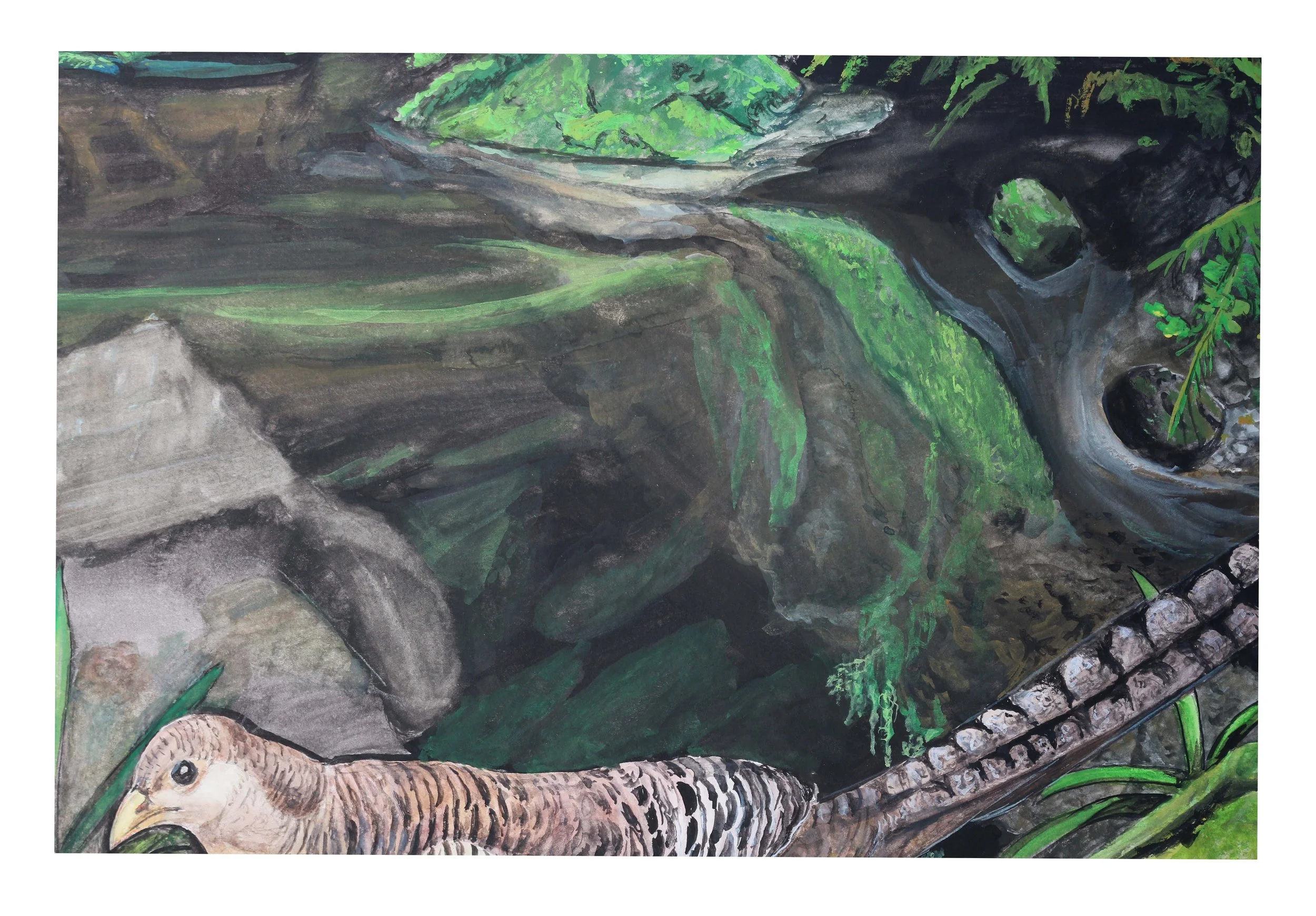 the pheasant on mossy trunk 2.jpg