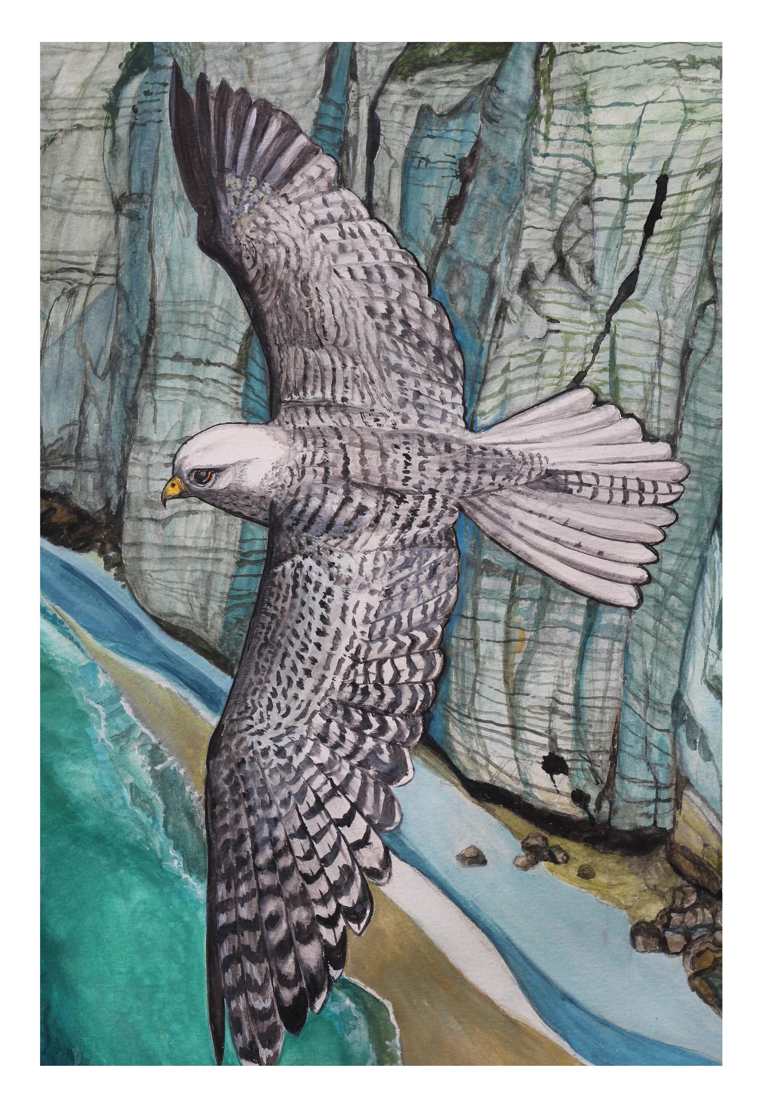 the white hawk & cliffs 1.jpg