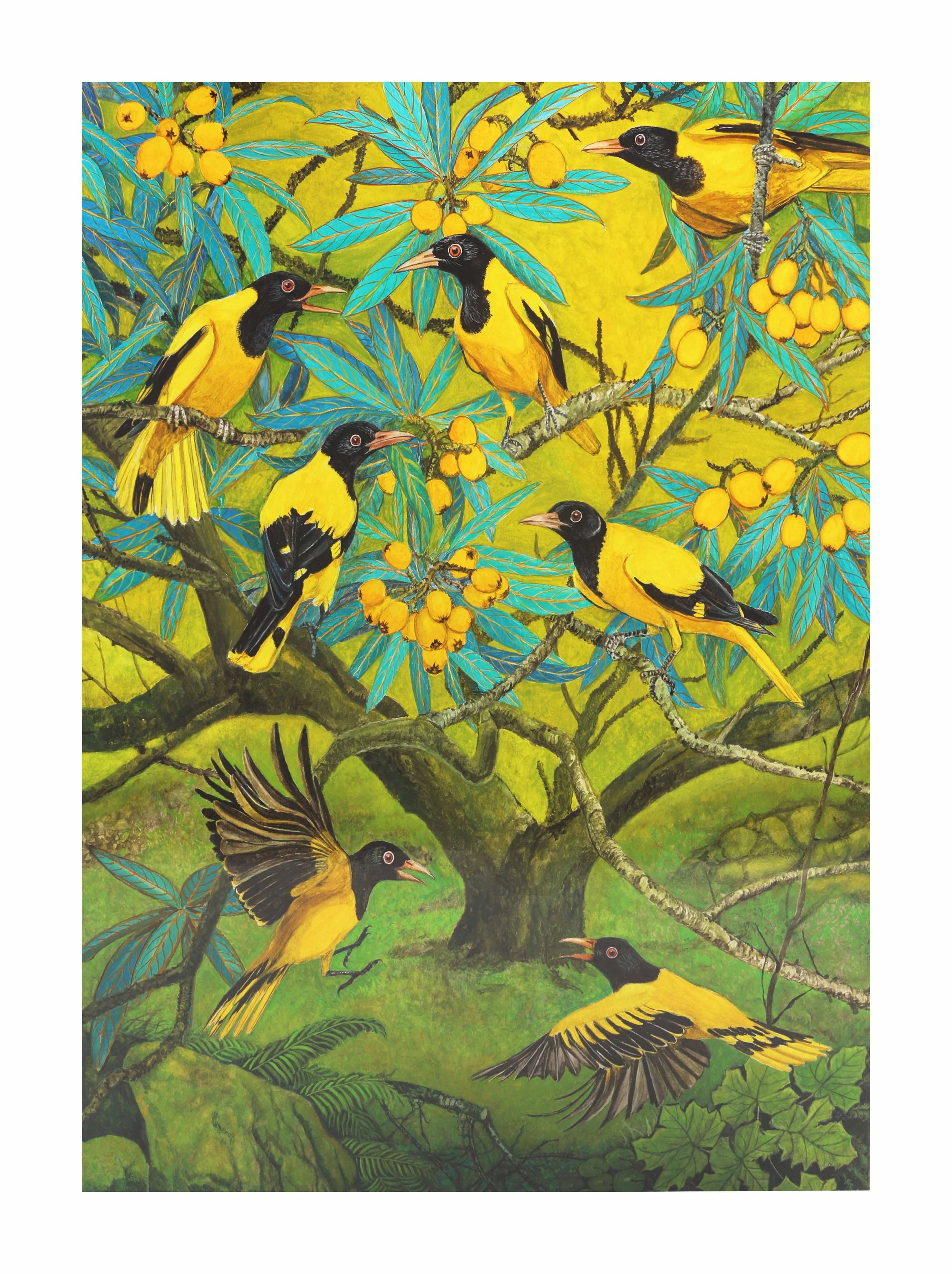 yellow birds and Loquat.jpg
