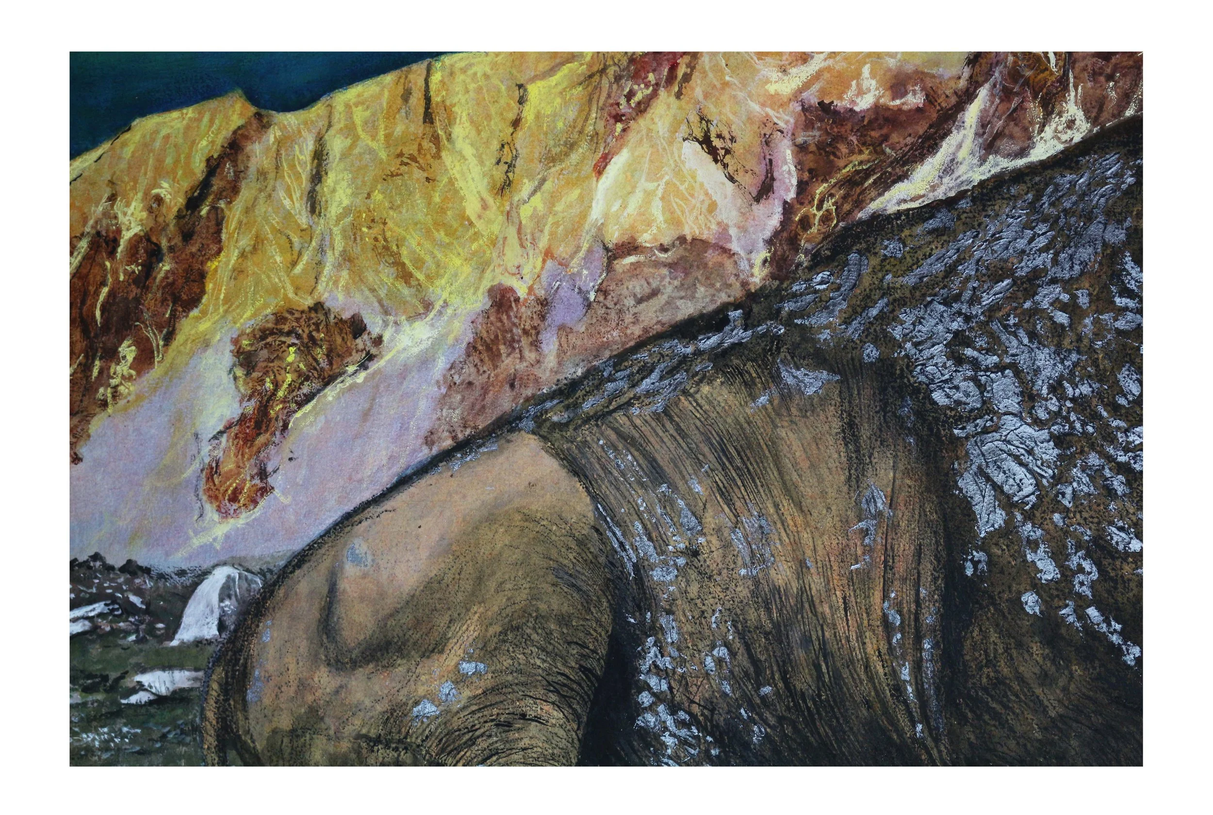 42 the Wyoming Bison1 copy.jpg