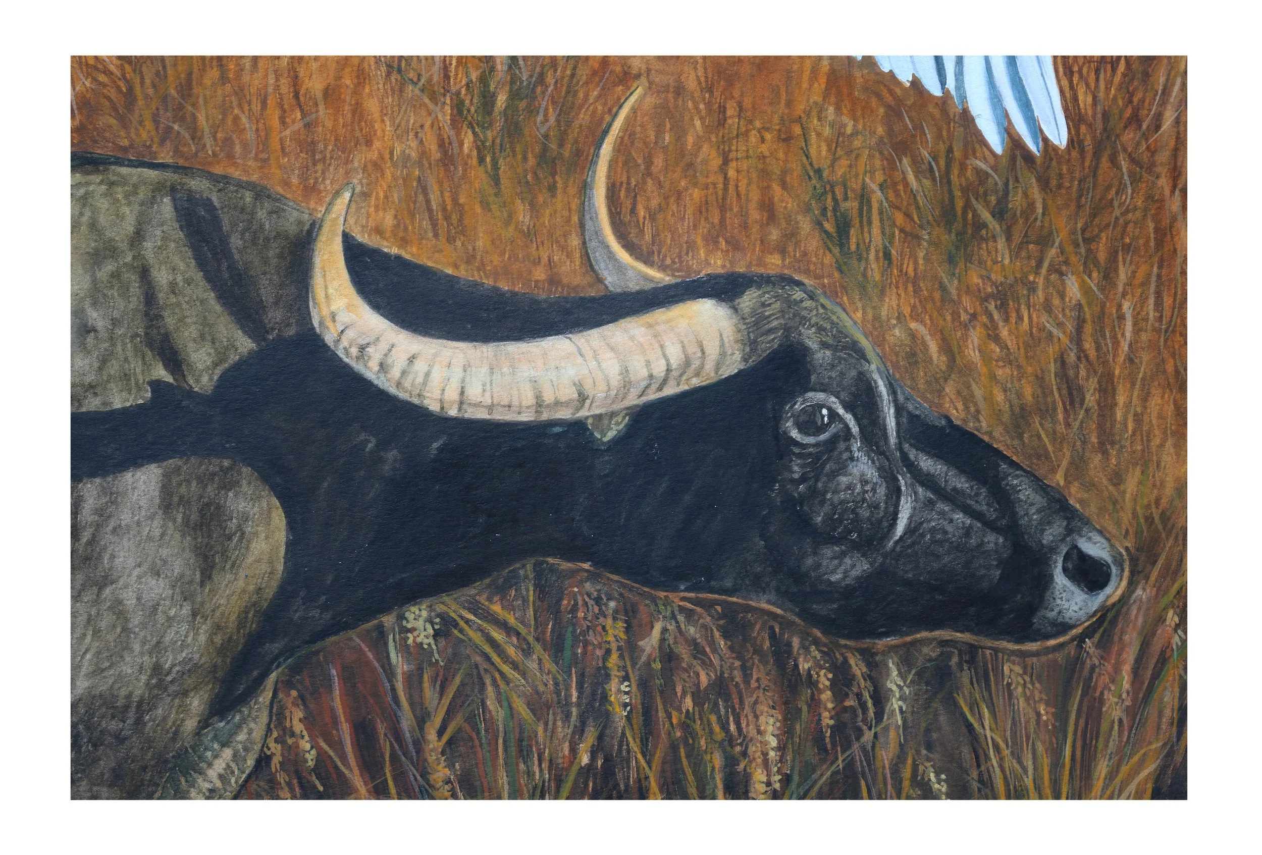 31 FOR RESTING1 copy.jpg