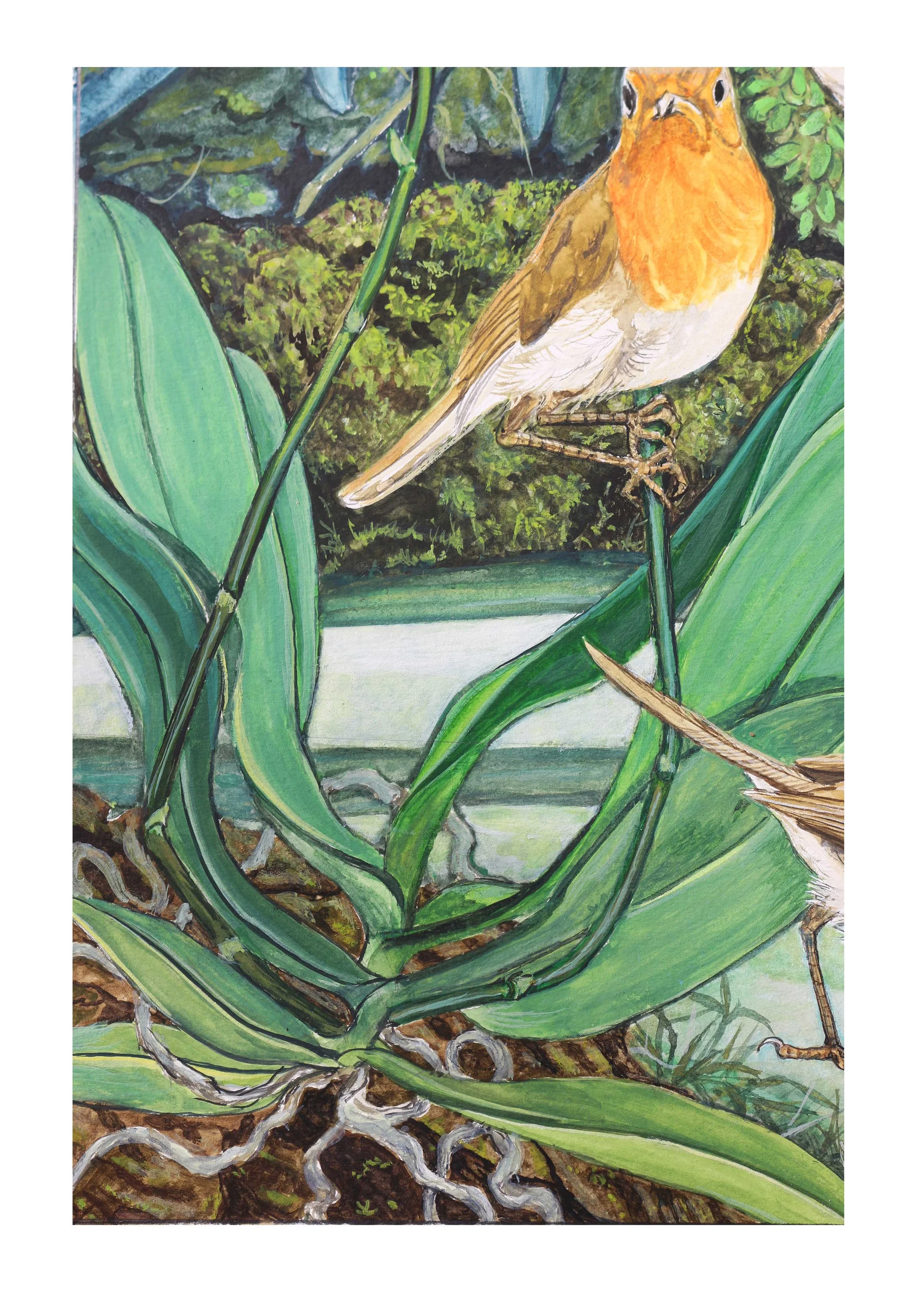 the finches and orchid part 7.jpg
