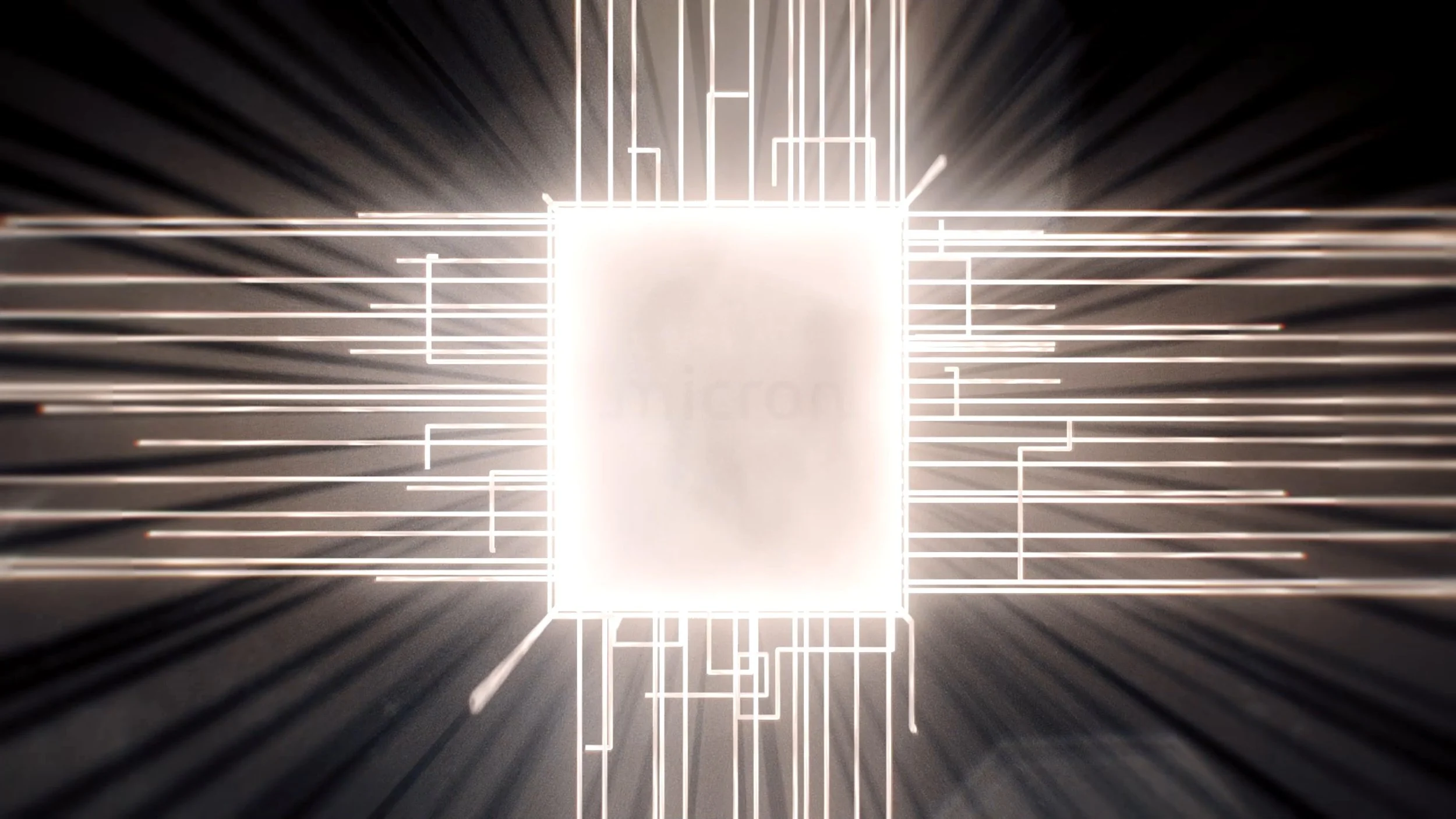 Micro_009.jpg