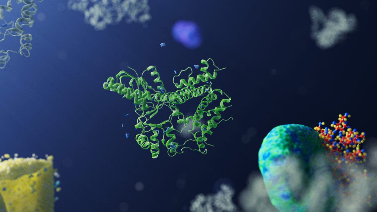 SH060_Protein_Design_A_v12_0093.png