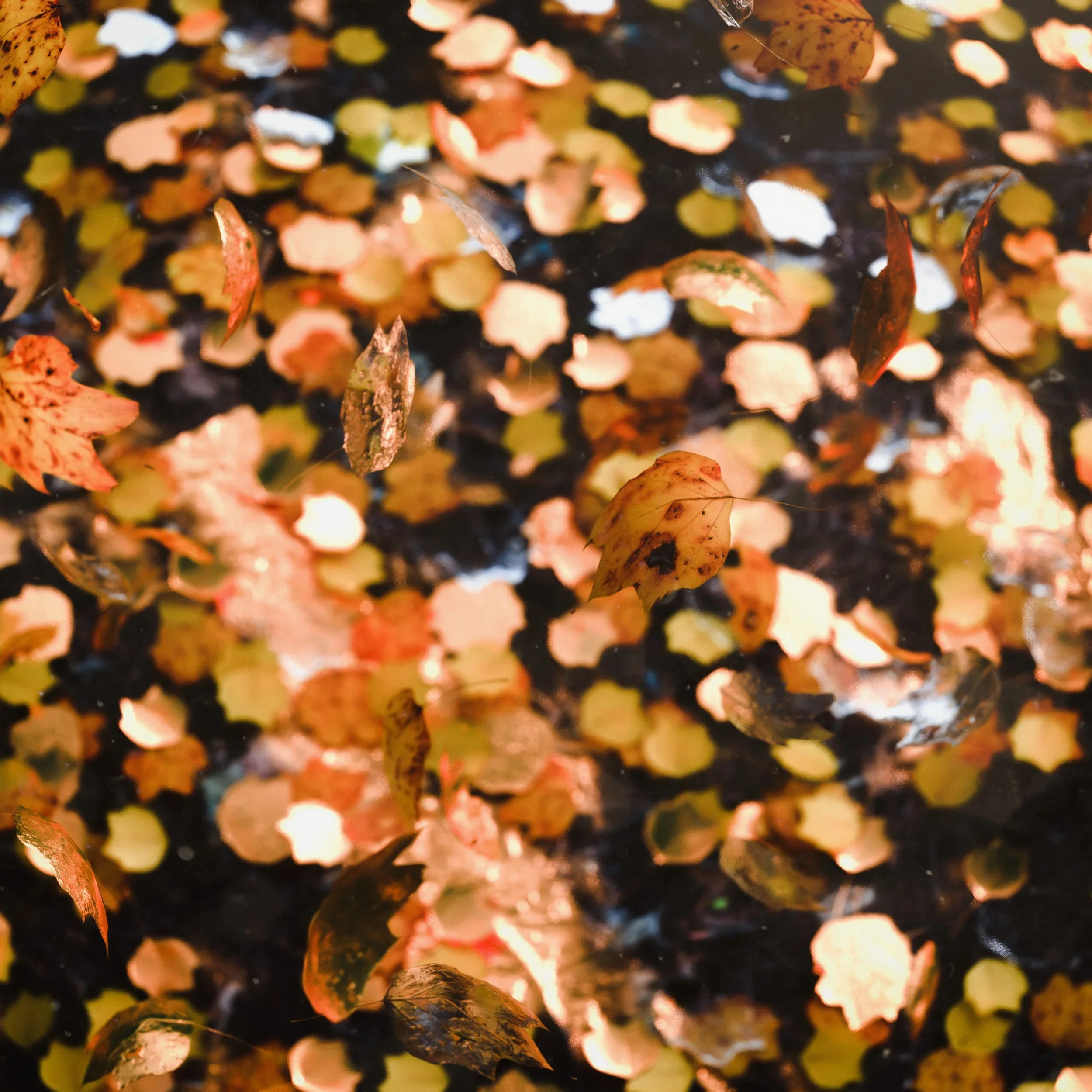 FinalRender11 (1)_cnrt_.jpg