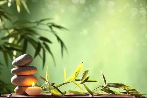 Holistic Healing as a Survivor