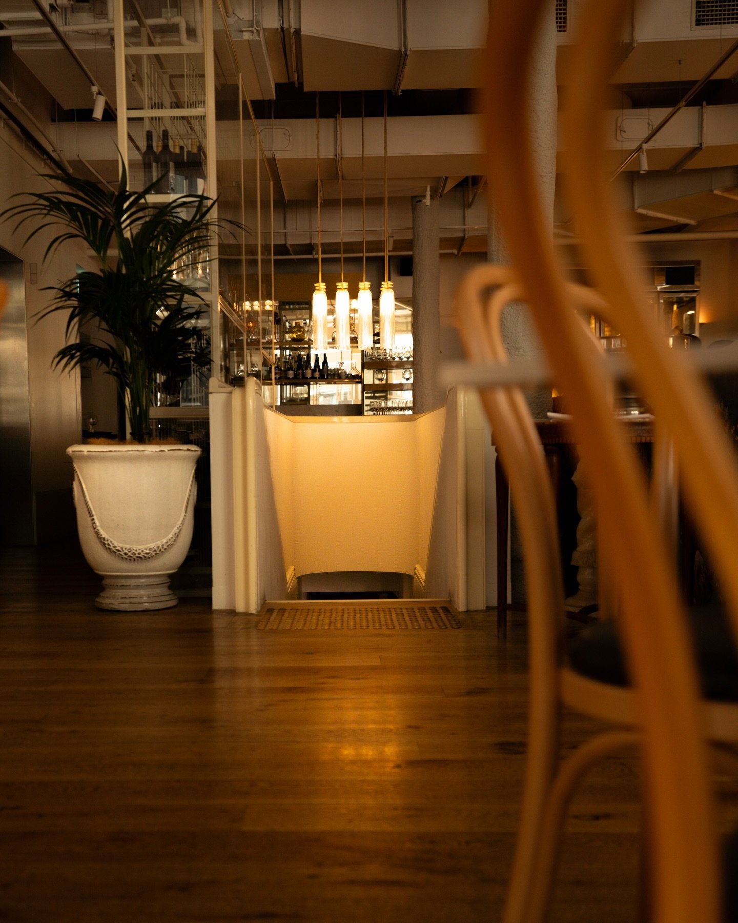 A short pause for Monday.

Closed 26/01, lunch only Tuesday 27/01, back to regular hours from Wednesday.