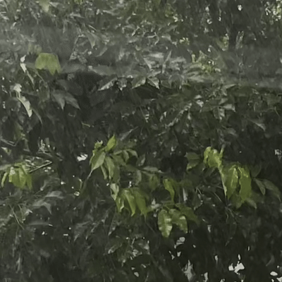 ezgif-6fb3df3722db29.gif