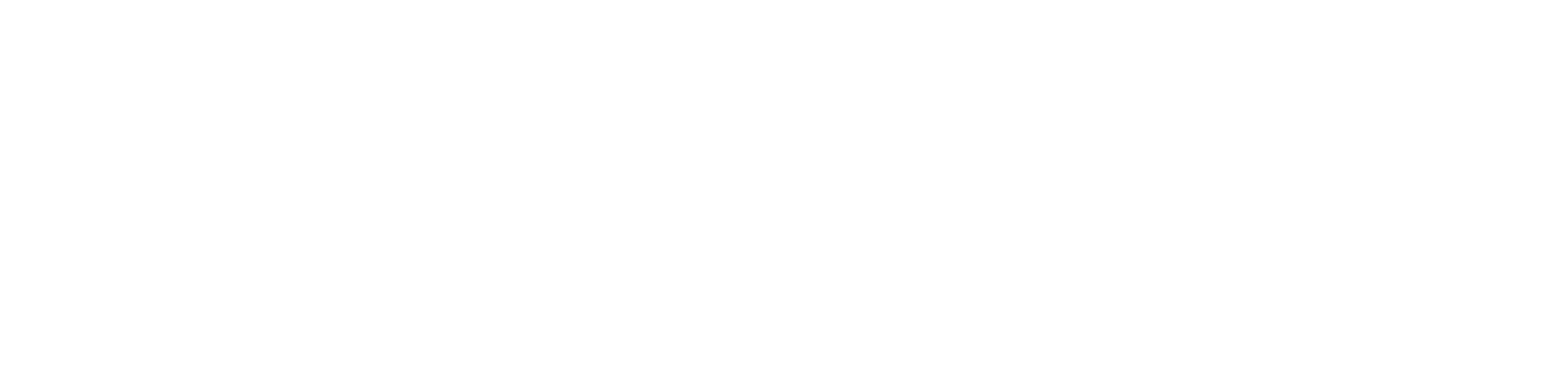 pioneer-logo-white.png