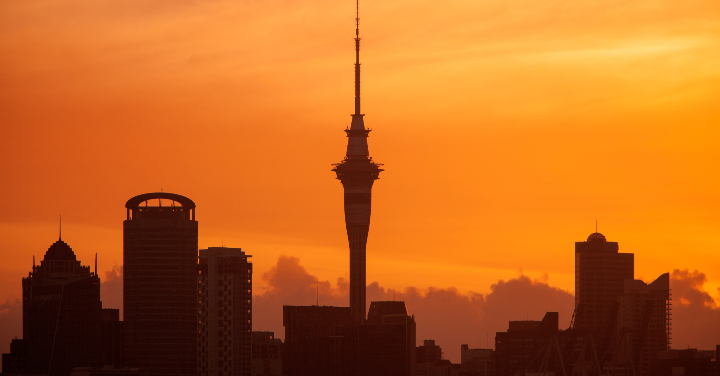 SaaSpocalypse Now - Auckland