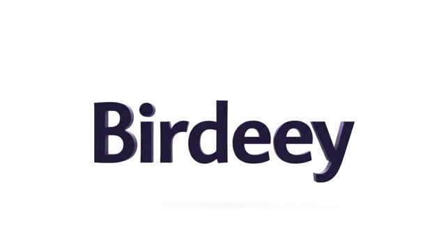 Birdeey logo.jpeg
