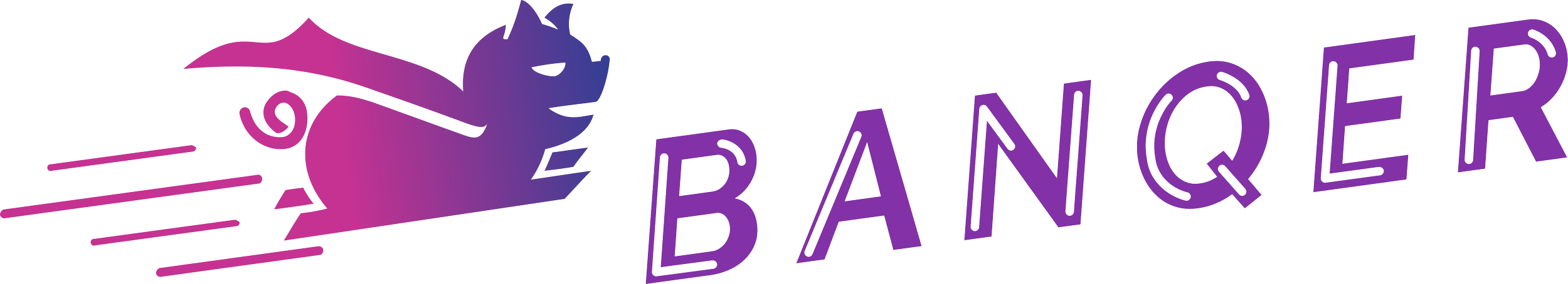Banqer: The Financial Future Builders