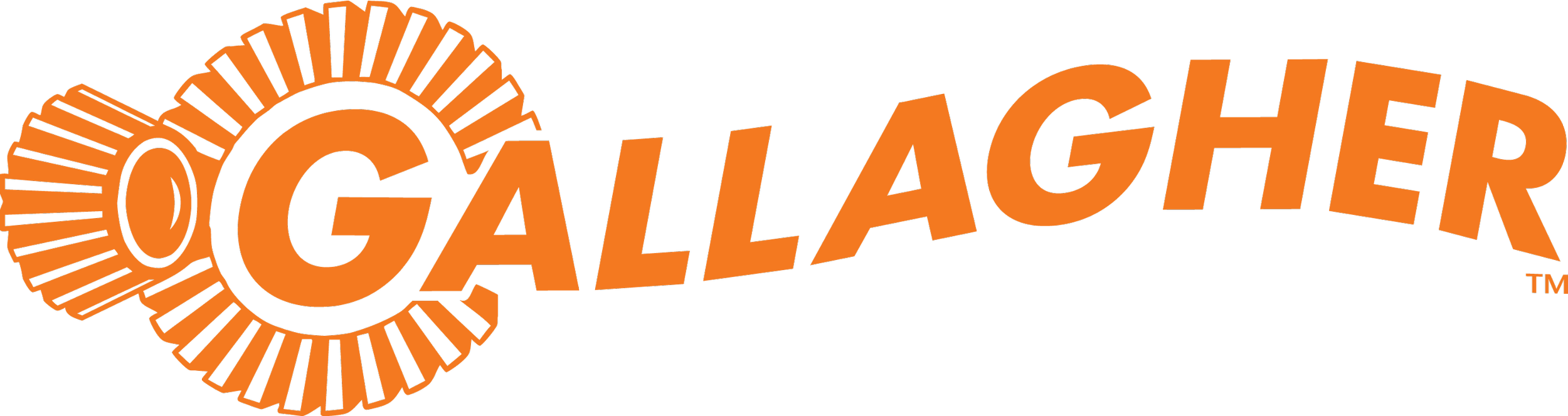 Gallagher: From Horses to Diamonds, They Protect It All