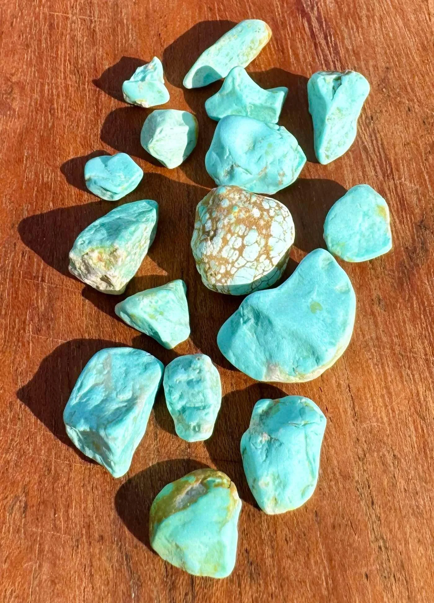 Australian Turquoise blue green spiderweb ammaroo amaroo nt