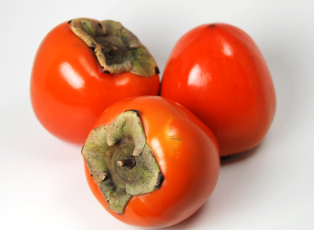 persimmon.png