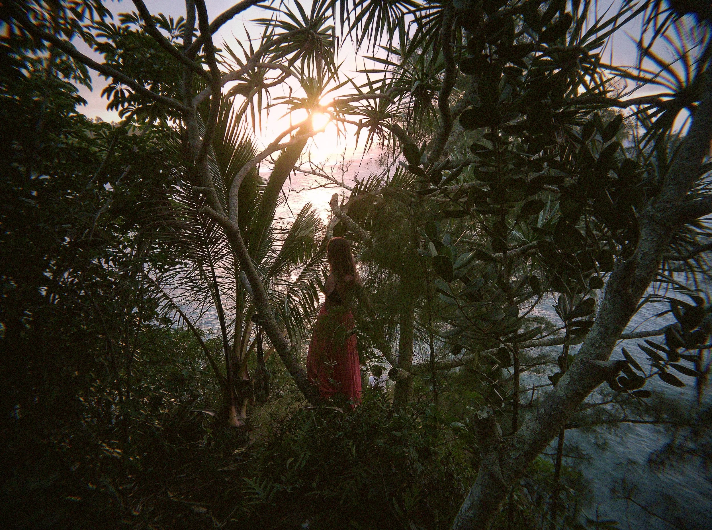 Vista do pôr do sol através de uma selva tropical densa com uma pessoa em pé perto da água.