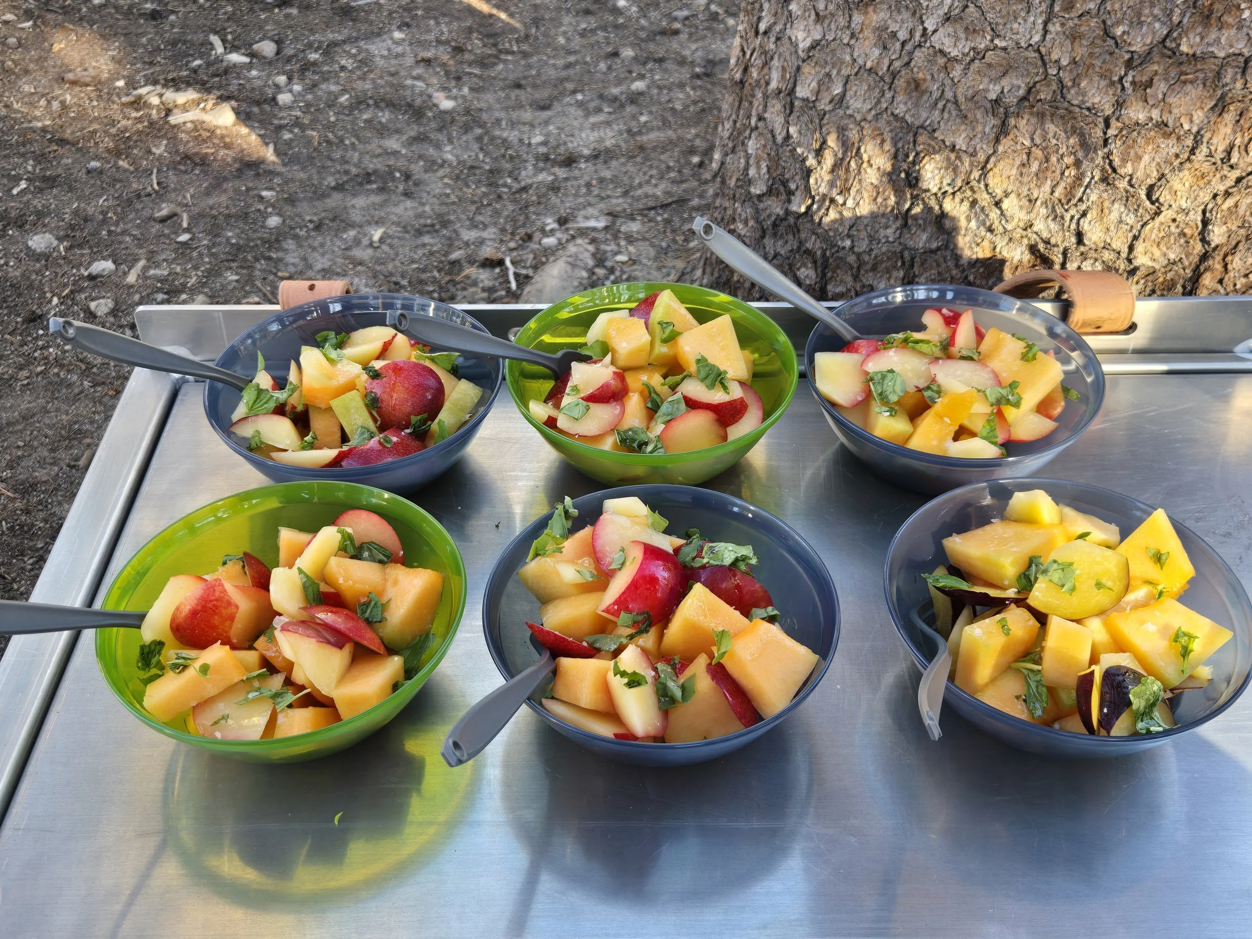 Pints Peaks 26 Plum salad.jpg