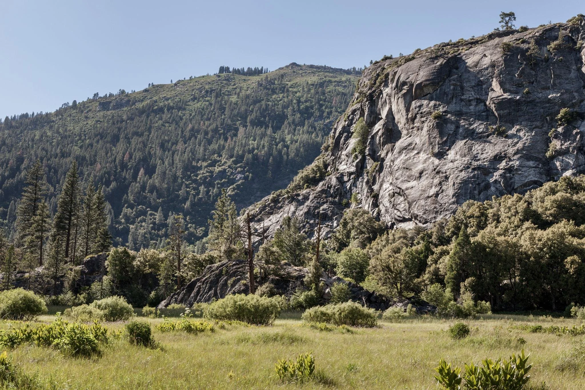 Grand Canyon of the Tuolumne backpacking trip in yosemite