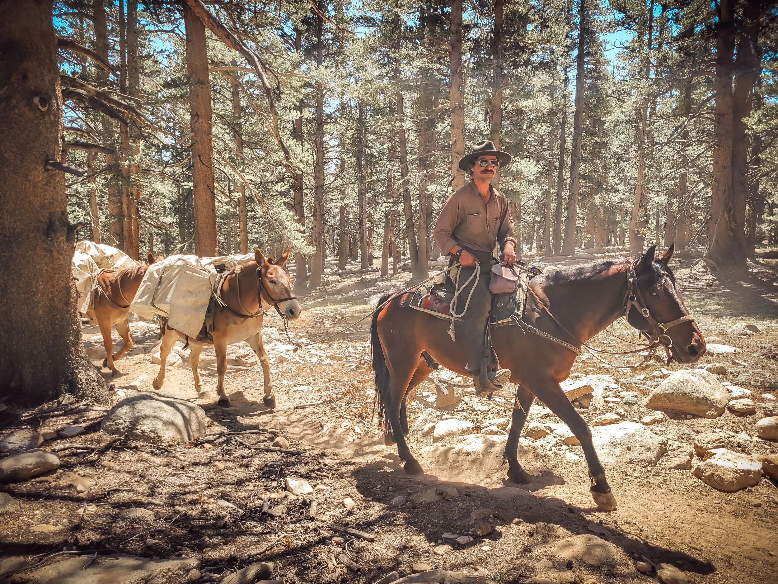 Whit Alan packer profile pic.jpg