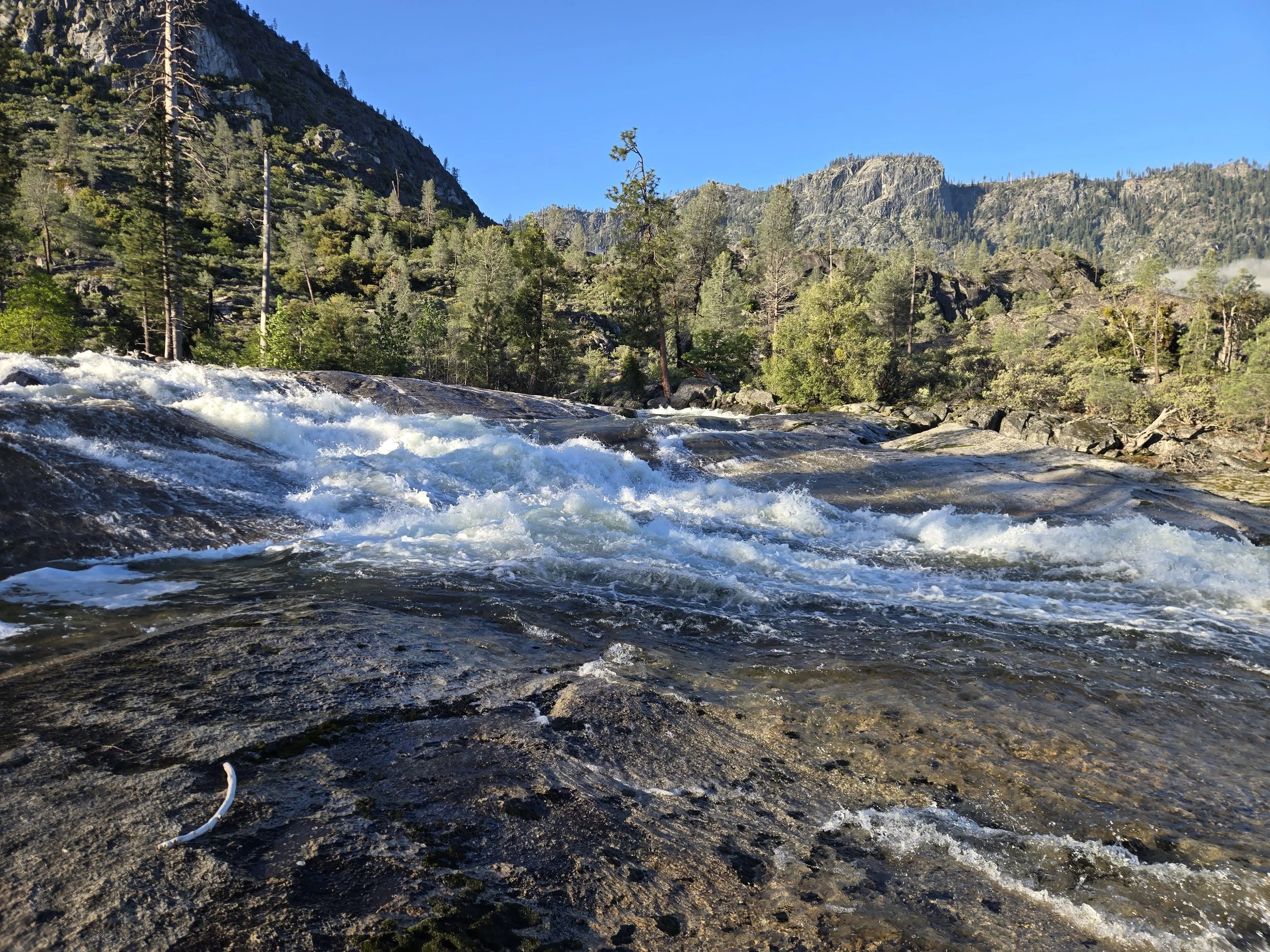 A rushing mountain river with dark rocks along the banks, surrounded by green trees and tall mountains under a clear blue sky.