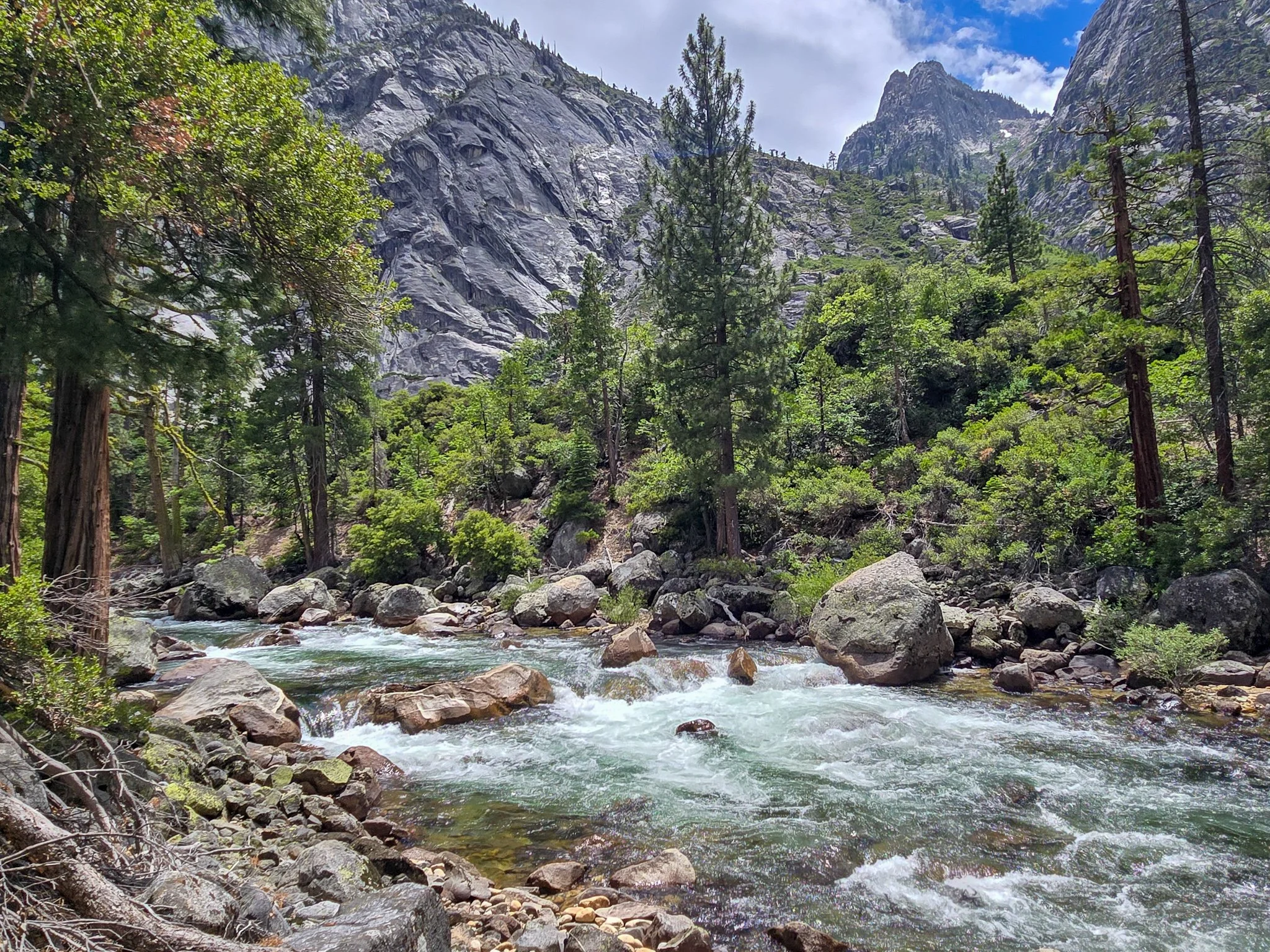 GC of T river.jpg